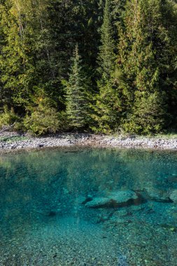 Montana 'daki Buzul Ulusal Parkı' nda taze buzul eriyen suyla temiz güzel bir nehir.