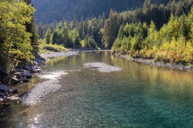 Montana 'daki Buzul Ulusal Parkı' nda taze buzul eriyen suyla temiz güzel bir nehir.