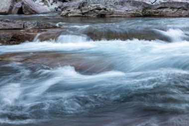 Montana 'daki Buzul Ulusal Parkı' nda taze buzul eriyen suyla temiz güzel bir nehir.