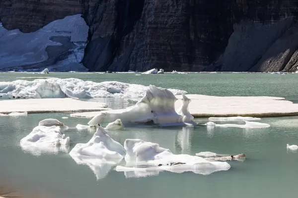 Παγόβουνα Επιπλέουν Στην Άνω Grinnell Λίμνη Παγετώνα Εθνικό Πάρκο Montana — Φωτογραφία Αρχείου