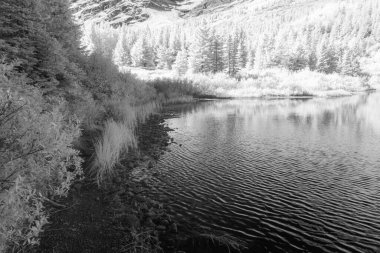 Infra Red 'deki Buzul Ulusal Parkı' nın monokromatik görüntüsü tamamen dönüştürülmüş bir kamerayla Montana 'daki bu inanılmaz parka benzersiz bir bakış açısı gösteriyor..