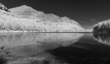 Infra Red 'deki Buzul Ulusal Parkı' nın monokromatik görüntüsü tamamen dönüştürülmüş bir kamerayla Montana 'daki bu inanılmaz parka benzersiz bir bakış açısı gösteriyor..