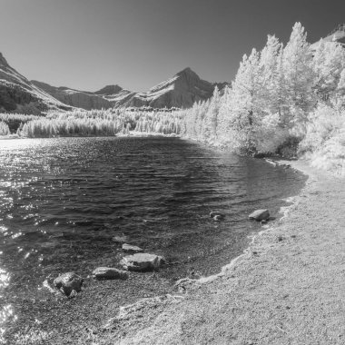 Infra Red 'deki Buzul Ulusal Parkı' nın monokromatik görüntüsü tamamen dönüştürülmüş bir kamerayla Montana 'daki bu inanılmaz parka benzersiz bir bakış açısı gösteriyor..