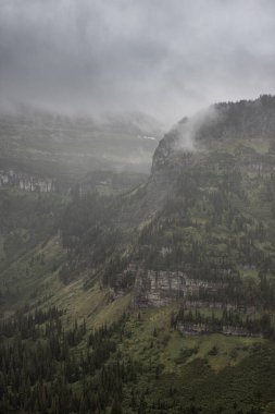 Sis ve yağmur Montana 'daki Buzul Ulusal Parkı' nda dengesiz koşullar yaratıyor..