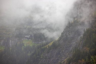 Sis ve yağmur Montana 'daki Buzul Ulusal Parkı' nda dengesiz koşullar yaratıyor..