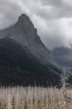 Sis ve yağmur Montana 'daki Buzul Ulusal Parkı' nda dengesiz koşullar yaratıyor..