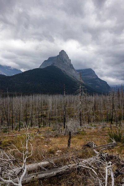 Νεκρά Δέντρα Από Μια Παλιά Δασική Πυρκαγιά Δραματικά Βουνά Θυελλώδη — Φωτογραφία Αρχείου