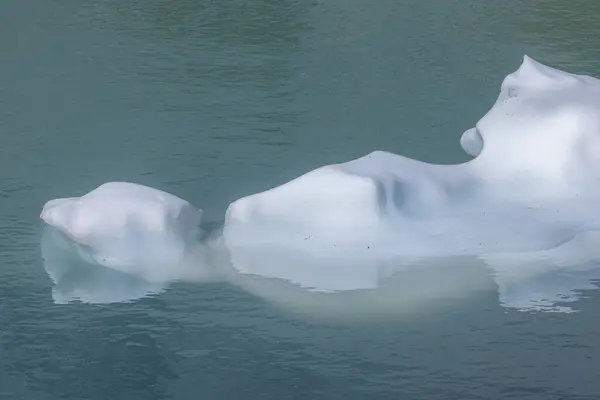 一个美丽的下午 冰山漂浮在蒙大拿州冰川国家公园的上格林内尔湖 — 图库照片
