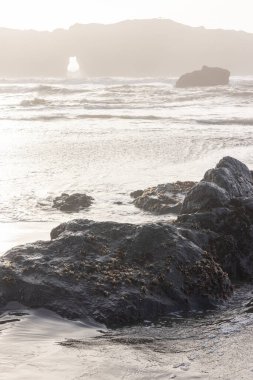 Önünde büyük bir kaya olan kayalık bir kıyı şeridi. Su dalgalı ve gökyüzü bulutlu.