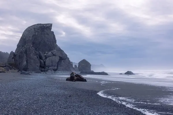 Ortasında Büyük Bir Kaya Olan Kayalık Bir Plaj Gökyüzü Bulutlu — Stok fotoğraf