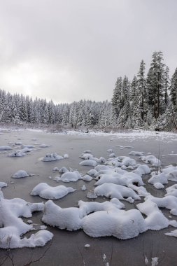 Buz ve karla kaplı bir gölü olan karlı bir manzara. Ağaçlar çıplak ve gökyüzü bulutlu. Manzara sakin ve huzurlu, zemini kaplayan kar ve göl sakin bir atmosfer yaratıyor.