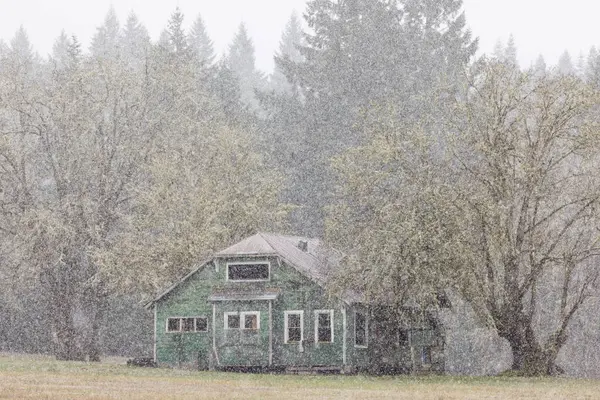 Una Pequeña Casa Está Cubierta Nieve Casa Está Rodeada Árboles — Foto de Stock