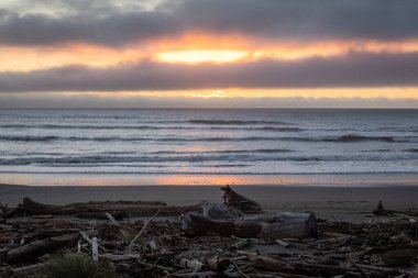 Güneş okyanusun üzerinde batıyor, suyun üzerine sıcak bir parıltı saçıyor. Gökyüzü bulutlarla dolu, sakin ve huzurlu bir atmosfer yaratıyor. Kumsal, tahta dallarla dolu.