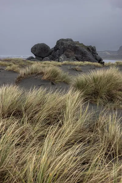 前景に大きな岩がある岩のビーチ 草は乾いて茶色で 空は曇っている シーンは穏やかで平和で 石と草は孤独と静けさの感覚を作り出しています — ストック写真