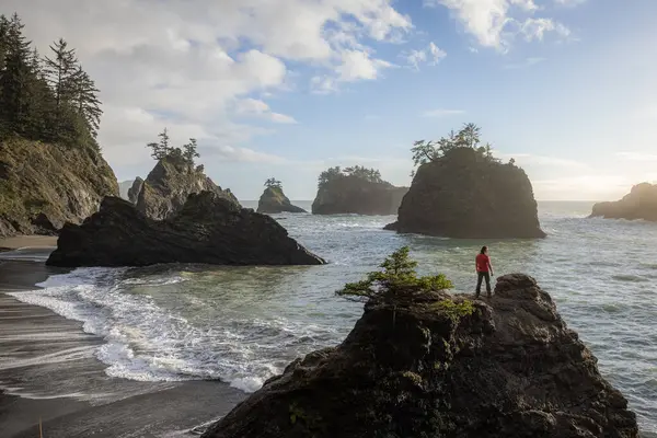 Güney Oregon Daki Kıyı Şeridinin Kayalık Kıyı Şeridinin Deniz Yığınlarının — Stok fotoğraf