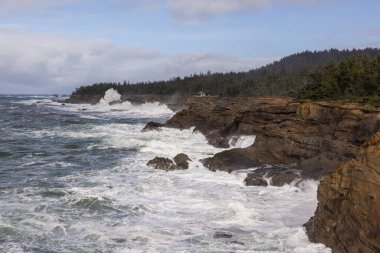 Shore Acres kayalık kıyı şeridine çarpan dev dalgaları izlemek için çok popüler bir yerdir..