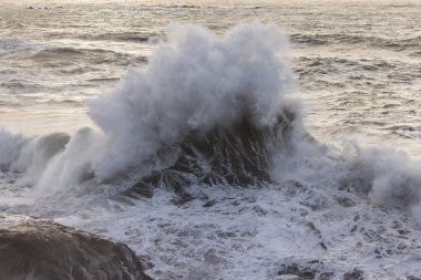 Okyanus dalgalı ve dalgalar yüksek. Su beyaz ve gökyüzü mavi.