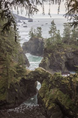 Güney Oregon 'daki Samuel H Boardman Sahne Koridoru' nda, Doğal Köprüler manzaranın sarp kayaları ve yeşilliği nedeniyle en popüler yerlerden biridir..