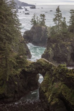 Güney Oregon 'daki Samuel H Boardman Sahne Koridoru' nda, Doğal Köprüler manzaranın sarp kayaları ve yeşilliği nedeniyle en popüler yerlerden biridir..