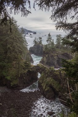 Güney Oregon 'daki Samuel H Boardman Sahne Koridoru' nda, Doğal Köprüler manzaranın sarp kayaları ve yeşilliği nedeniyle en popüler yerlerden biridir..