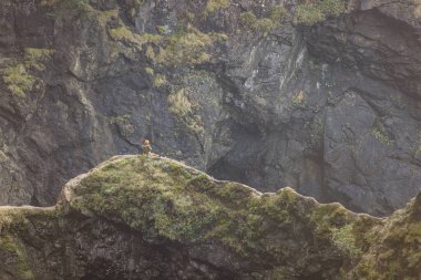 Güney Oregon 'daki Samuel H Boardman Sahne Koridoru' nda, Doğal Köprüler manzaranın sarp kayaları ve yeşilliği nedeniyle en popüler yerlerden biridir..