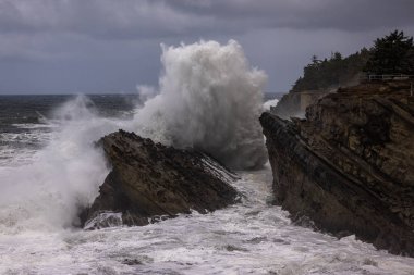 Oregon, Shore Acres 'te kayalara çarpan dev dalgalar özellikle fırtınaların geldiği kış aylarında muhteşem bir manzara yaratıyor..