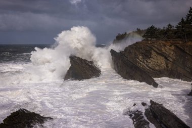 Oregon, Shore Acres 'te kayalara çarpan dev dalgalar özellikle fırtınaların geldiği kış aylarında muhteşem bir manzara yaratıyor..