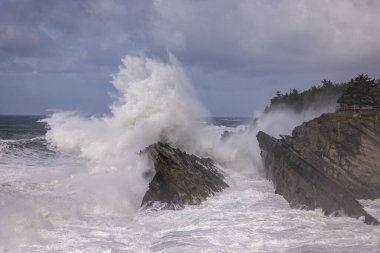 Oregon, Shore Acres 'te kayalara çarpan dev dalgalar özellikle fırtınaların geldiği kış aylarında muhteşem bir manzara yaratıyor..
