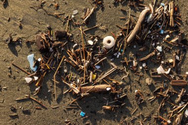 Çöplük ve enkazla kaplı bir sahil. Sahne, çevrenin durumundan kaynaklanan üzüntü ve hayal kırıklıklarından biridir.