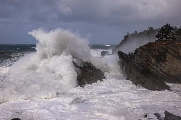 Giant Waves Crashing Rocks Shore Acres Oregon Creating Spectacular Landscape — Stock Photo, Image
