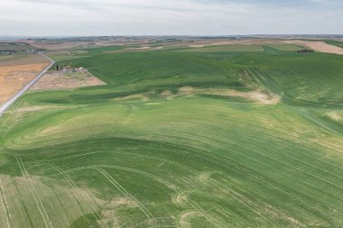 Kuru, yeşil tarlaları ve yuvarlanan tepeleriyle ünlü Washington Palouse 'un hava manzarası..
