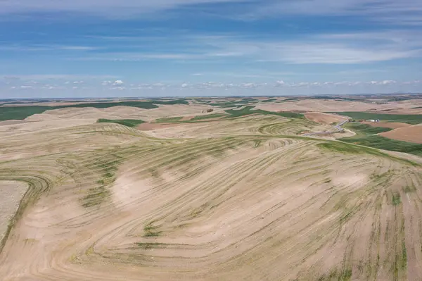Aerial View Famous Washington Palouse Dry Green Fields Rolling Hills — Stock Photo, Image