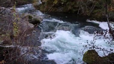Umpqua nehrinin güçlü bir akıntısı olan bir bölümü kayalık bir kıyıya çarpıyor. Su beyaz ve köpüklü, dalgalar kayalara çarpıyor. Sahne dinamik ve güçlü..