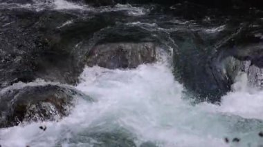 Umpqua nehrinin güçlü bir akıntısı olan bir bölümü kayalık bir kıyıya çarpıyor. Su beyaz ve köpüklü, dalgalar kayalara çarpıyor. Sahne dinamik ve güçlü..