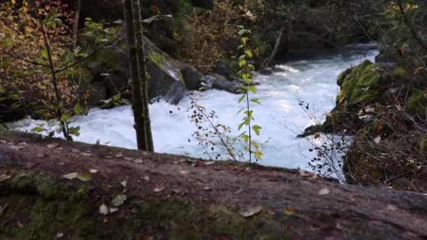 Córrego Água Está Fluindo Abaixo Uma Colina Rochosa Água Clara — Vídeo de Stock