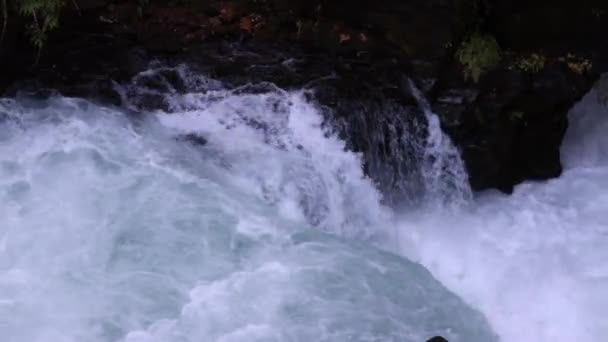 Úsek Řeky Umpqua Silným Proudem Narážející Skalnatý Břeh Voda Bílá — Stock video