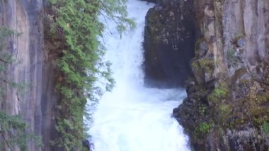 Toketee Falls veya Upqua Şelalesi bir ormanın ön planında görülür. Su beyaz, ağaçlar yeşil.
