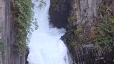 Toketee Falls veya Upqua Şelalesi bir ormanın ön planında görülür. Su beyaz, ağaçlar yeşil.
