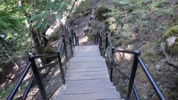 Деревянная Лестница Металлическими Перилами Ведущими Вверх Холму Вид Лес Деревьями — стоковое видео