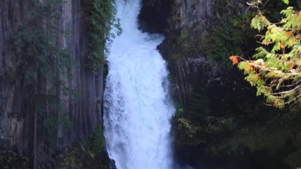 Водопад Токети Водопад Упква Видны Переднем Плане Леса Вода Белая — стоковое видео