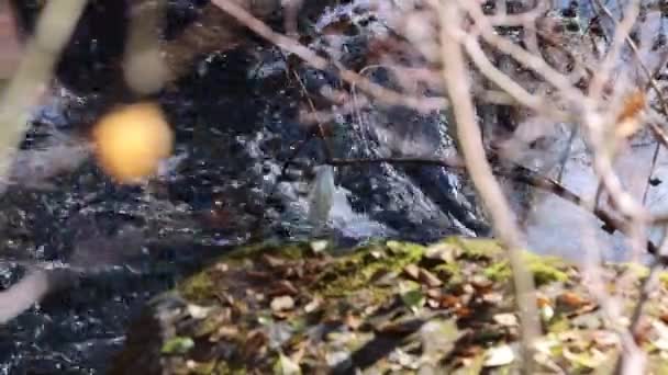 Fluxo Água Flui Sobre Uma Borda Rochosa Com Uma Máscara — Vídeo de Stock