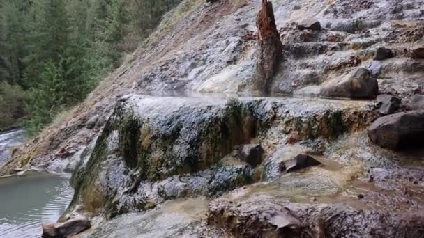 Stream Water Flows Rocky Hillside Water Clear Cold Rocks Brown — стоковое видео