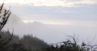 Sisli dağlar ağaçlarla kaplı ve gökyüzü bulutlu. Sisli atmosfer ortama huzurlu ve huzurlu bir hava veriyor.