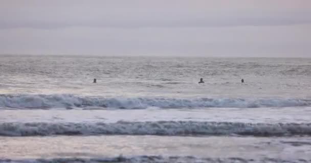 Havet Lugnt Och Vattnet Ljusblått Två Surfare Vattnet Dem Mitt — Stockvideo