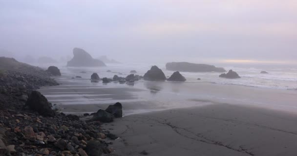 Una Spiaggia Nebbiosa Con Rocce Una Costa Rocciosa Oregon Myers — Video Stock