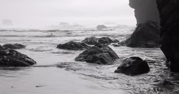 Rocky Shoreline Gray Sky Background Water Calm Rocks Scattered Throughout Stock Video