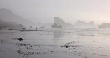 Arka planda sisli bir gökyüzü olan bir kişi sahilde yürüyor. Kumsal kayalık ve su sakin.