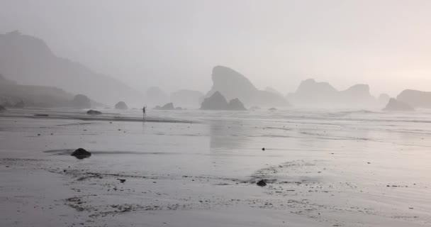 Людина Гуляє Пляжі Туманним Небом Задньому Плані Пляж Кам Янистий — стокове відео