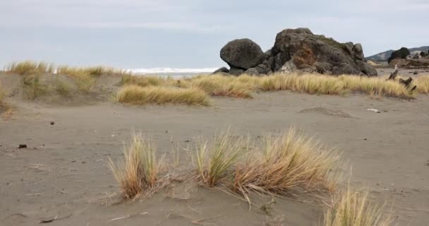 Een Rotsachtig Strand Met Een Klein Stukje Gras — Stockvideo