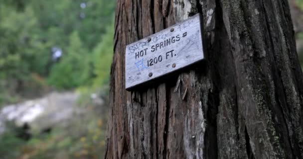 ホットスプリングス120フィートという木の看板 サインは木のトランクにあり モスに囲まれています — ストック動画